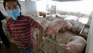 Europos Sąjungos pareigūnai svarsto, kad dėl kiaulių gripo reikėtų sustabdyti skrydžius į Meksiką.