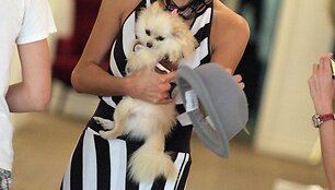Paris Hilton su &scaron;uniuku