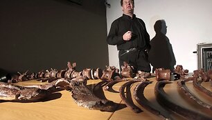Pietų Afrikos Respublikoje rasti naujos dinozaurų rū&scaron;ies kaulai.