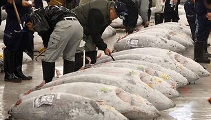 Tsukiji žuvų turgus