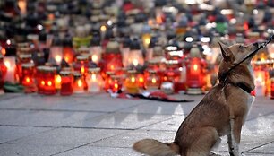 De&scaron;imtys tūkstančių sukrėstų lenkų &scaron;e&scaron;tadienį vakare gėlėmis ir žvakėmis nuklojo pagrindinę Var&scaron;uvos aik&scaron;tę.