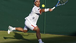 Fernando Verdasco antradienį turėjo pripažinti italo Fabio Fogninio prana&scaron;umą. 