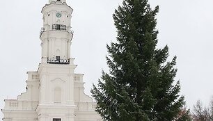 Rotu&scaron;ės aik&scaron;tėje jau &bdquo;apsigyvenusi&ldquo; žaliaskarė bus i&scaron;kilmingai įžiebta &scaron;į &scaron;e&scaron;tadienį.