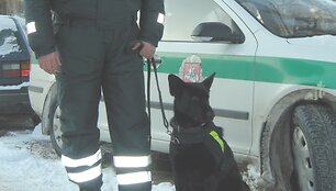 Miksė