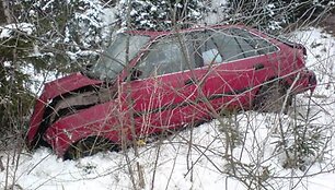 Ma&scaron;ina nuo kelio nuskriedo apie 65 metrus.