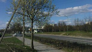 Medžių ir &bdquo;Audi&ldquo; nuolaužos avarijos vietoje traukė praeivių dėmesį.