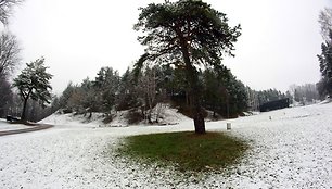 Šeštadienį sostinėje pasnigo