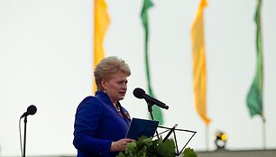 Dainų &scaron;ventės akimirkos Vingio parke.