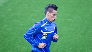 Marekas Ham&scaron;ikas