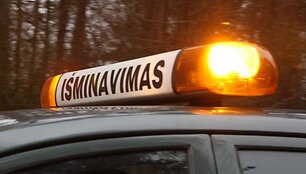 Vingio parko estrados aplinką tvarkantys statybininkai pirmadienį rado sprogmenį.