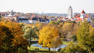 Subačiaus apžvalgos aikštelė