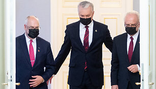 Lietuvos, Latvijos ir Estijos prezidentų spaudos konferencija