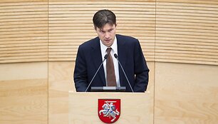 Darius Raulu&scaron;aitis