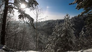 Balta žiema sostinėje 