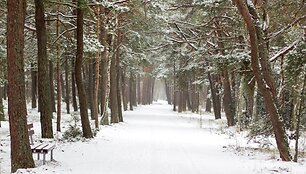 &Scaron;v. Velykų rytas Nidoje.