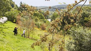 Išvalyti žadama apie 7 kilometrus Vilnios pakrančių