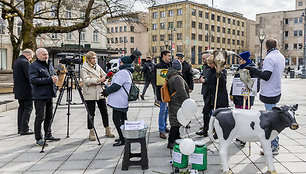 Prie Vyriausybės ūkininkų protestas dėl pieno supirkimo kainų