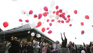 Akcijos metu žmonės nuo spalio iki gruodžio pradžios raginami prisidėti prie organizacijos &bdquo;Gelbėkit vaikus&ldquo; programos &bdquo;Galimybė gyventi geriau&ldquo;, padėti vaikų globos auklėtiniams rasti naujus namus bei aukoti skaudžių istorijų herojams.