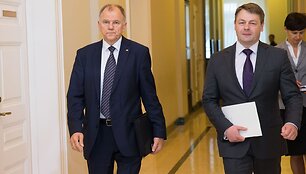 Prezidentė susitiko su Vyteniu Andriukaičiu