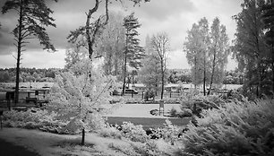 Vilniaus Universiteto Kairėnų Botanikos sode