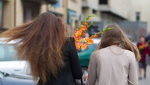 Rugsėjo 1-oji: prasideda nauji mokslo metai.