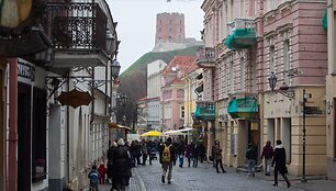 Lapkričio diena Vilniuje