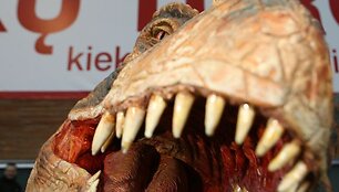 Grėsmingas dinozauras pasirodė prie sostinės &bdquo;Akropolio&ldquo;. Natūraliai atrodantis, riaumojantis ir laisvai judantis tiranozauras kvietė į renginį &bdquo;Pasivaik&scaron;čiojimas su dinozaurais&ldquo;, kuris vyks lapkričio 28-29 dienomis Vilniaus &bdquo;Siemens&ldquo; arenoje.