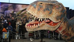 Grėsmingas dinozauras pasirodė prie sostinės &bdquo;Akropolio&ldquo;. Natūraliai atrodantis, riaumojantis ir laisvai judantis tiranozauras kvietė į renginį &bdquo;Pasivaik&scaron;čiojimas su dinozaurais&ldquo;, kuris vyks lapkričio 28-29 dienomis Vilniaus &bdquo;Siemens&ldquo; arenoje.