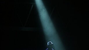 Akimirka i&scaron; miuziklo &bdquo;Thriller-Live&ldquo; 