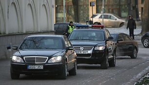 Dalia Grybauskaitė priėmė Estijos prezidentą Toomą Hendriką Ilvesą ir Latvijos prezidentą Valdį Zatlerį.