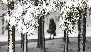 Žiema spardosi – pirmąją kovo savaitę prisnigo