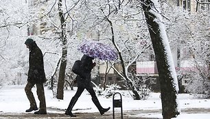 Žiema spardosi – pirmąją kovo savaitę prisnigo