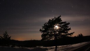 Naktinio pasivažinėjimo akimirka