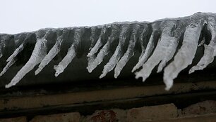 Varvekliai