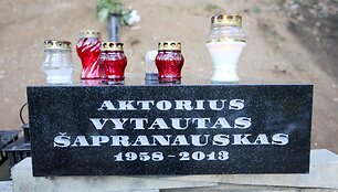 Ant Vytauto &Scaron;apranausko kapo pastatytas paminklas