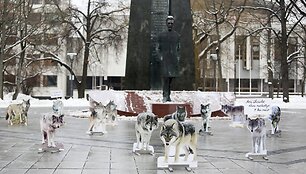 Vilkų &bdquo;piketas&ldquo; Vilniaus V.Kudirkos aik&scaron;tėje