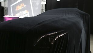 E klasės &bdquo;Mercedes-Benz&ldquo; pristatymo akimirka