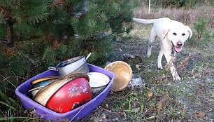 Nelaimingi keturkojai sulaukė žmonių pagalbos.
