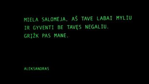 Aleksandro Pogrebnojaus ir Vidos Simanavičiūtės kolekcijos &bdquo;Pavasaris&ndash;Vasara 2011&ldquo; pristatymo akimirka