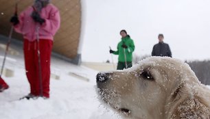 Šimtai vilniečių pirmąjį 2011 metų sekmadienį stojo ant slidžių