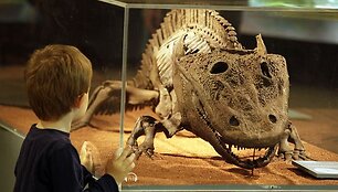 Vandenų gyvūnams Diuseldorfo vandens zoologijos sode &bdquo;Eurovizijos&ldquo; kovos nerūpi