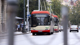 Vie&scaron;asis transportas
