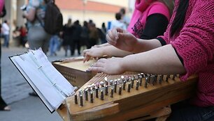 Gatvės muzikos dienos akimirka