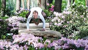 Joga