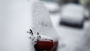 Apsnigti automobiliai Vokietijoje