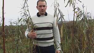 P.Tiknevičius