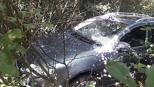 Sulaikytas automobilis