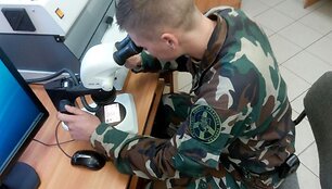 VSAT pareigūnas: dokumento patikra