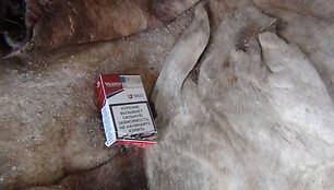 Sulaikyta cigarečių kontrabanda