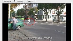 Į pareigūnų akiratį pateko ir pažeidėja su karučiu.